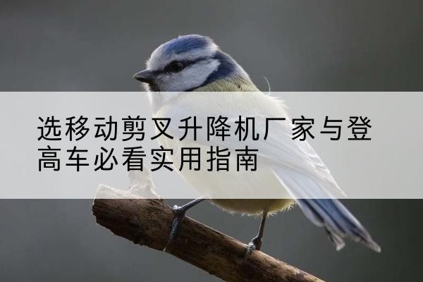 大洼电动升降机厂家-选移动剪叉升降机厂家与登高车必看实用指南