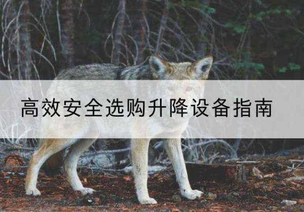 大洼升降货梯厂家推荐-*安全选购升降设备指南