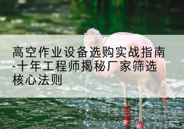 大洼剪叉式升降机厂家-高空作业设备选购实战指南-十年工程师揭秘厂家筛选核心法则